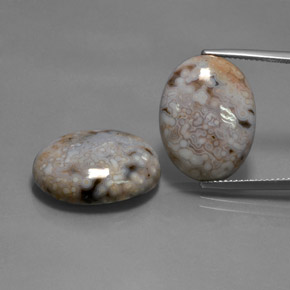 Gemas de jaspe multicolor natural de 28,35 ct, corte óvalo, opaco