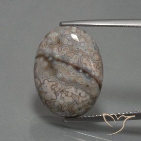 12.39ct Natural Multicolor Jaspe, Ovalada, Opaco