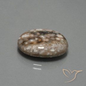 Jaspe Multicolor natural de 12.87 ct, Ovalada, Opaco