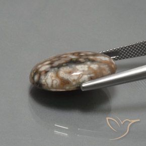 Jaspe Multicolor natural de 12.87 ct, Ovalada, Opaco
