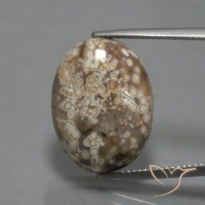 14.73ct Natural Multicolor Jaspe, Ovalada, Opaco