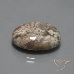 Jaspe Multicolor natural de 14.73 ct, Ovalada, Opaco