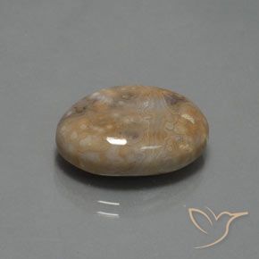 Jaspe Multicolor natural de 15.30 ct, Ovalada, Opaco