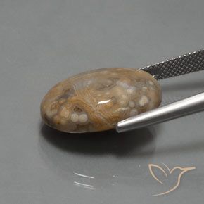 Jaspe Multicolor natural de 15.30 ct, Ovalada, Opaco
