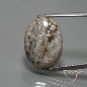 14.48ct Natural Multicolor Jaspe, Ovalada, Opaco