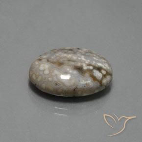 Jaspe Multicolor natural de 14.48 ct, Ovalada, Opaco