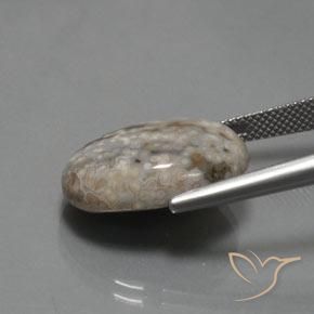 Jaspe Multicolor natural de 14.48 ct, Ovalada, Opaco