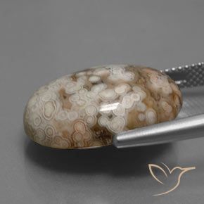 Jaspe Multicolor natural de 14.70 ct, Ovalada, Opaco
