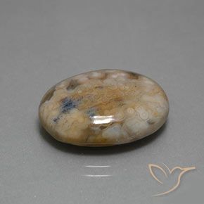 Jaspe Multicolor natural de 13.80 ct, Ovalada, Opaco