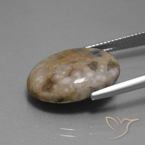 Jaspe Multicolor natural de 13.80 ct, Ovalada, Opaco