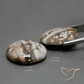 Gemas de Jaspe Multicolor natural de 22.46 ct, Ovalada, Opaco