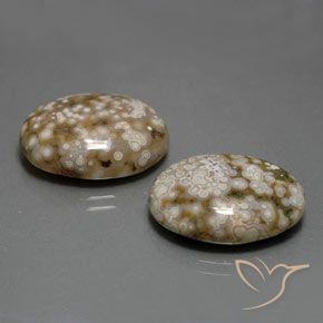 Gemas de Jaspe Multicolor natural de 25.62 ct, Ovalada, Opaco