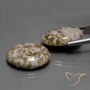 Gemas de Jaspe Multicolor natural de 25.62 ct, Ovalada, Opaco