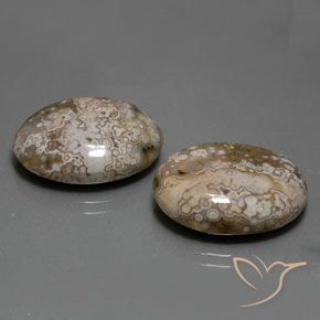 Gemas de Jaspe Multicolor natural de 25.60 ct, Ovalada, Opaco