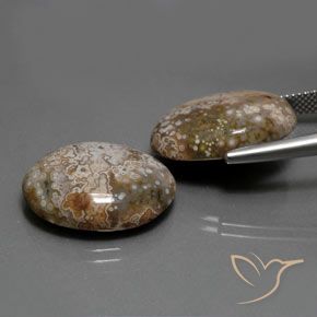 Gemas de Jaspe Multicolor natural de 25.60 ct, Ovalada, Opaco