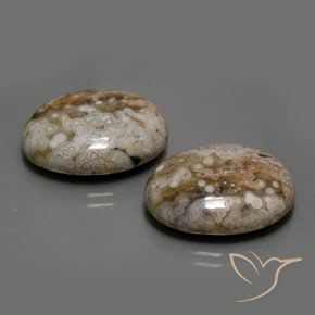 Gemas de Jaspe Multicolor natural de 26.33 ct, Ovalada, Opaco