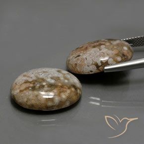Gemas de Jaspe Multicolor natural de 26.33 ct, Ovalada, Opaco
