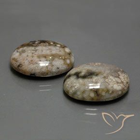 Gemas de Jaspe Multicolor natural de 25.83 ct, Ovalada, Opaco
