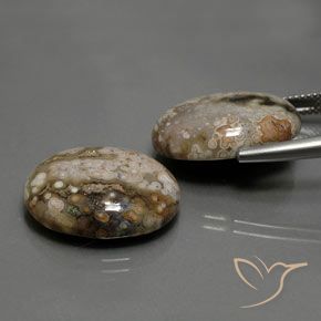 Gemas de Jaspe Multicolor natural de 25.83 ct, Ovalada, Opaco