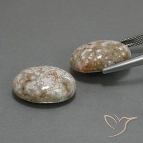Gemas de Jaspe Multicolor natural de 21.62 ct, Ovalada, Opaco