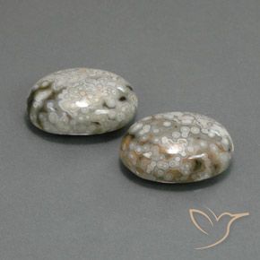 Gemas de Jaspe Multicolor natural de 23.48 ct, Ovalada, Opaco