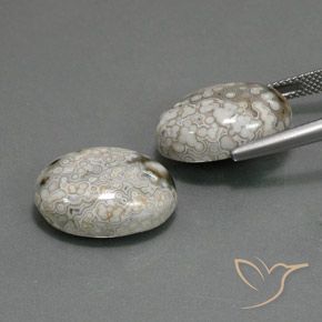 Gemas de Jaspe Multicolor natural de 23.48 ct, Ovalada, Opaco