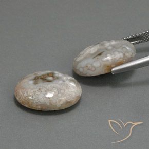Gemas de Jaspe Multicolor natural de 18.63 ct, Ovalada, Opaco