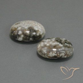Gemas de Jaspe Multicolor natural de 22.45 ct, Ovalada, Opaco
