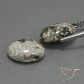 Gemas de Jaspe Multicolor natural de 22.45 ct, Ovalada, Opaco