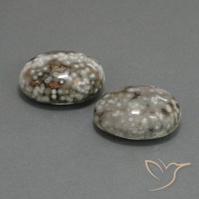 Gemas de Jaspe Multicolor natural de 25.02 ct, Ovalada, Opaco