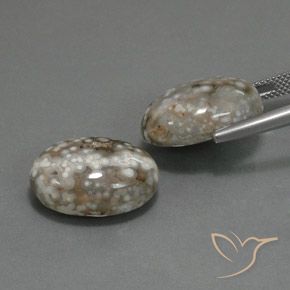 Gemas de Jaspe Multicolor natural de 25.02 ct, Ovalada, Opaco