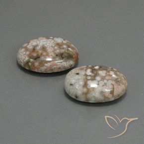 Gemas de Jaspe Multicolor natural de 19.64 ct, Ovalada, Opaco