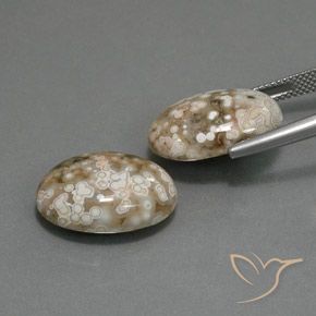 Gemas de Jaspe Multicolor natural de 19.64 ct, Ovalada, Opaco