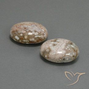 Gemas de Jaspe Multicolor natural de 21.58 ct, Ovalada, Opaco