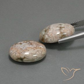 Gemas de Jaspe Multicolor natural de 21.58 ct, Ovalada, Opaco