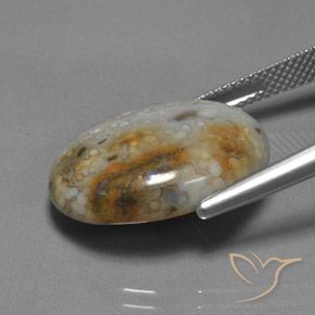 Jaspe Multicolor natural de 13.45 ct, Ovalada, Opaco