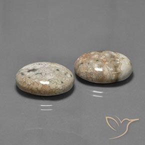 Gemas de Jaspe Multicolor natural de 27.89 ct, Ovalada, Opaco