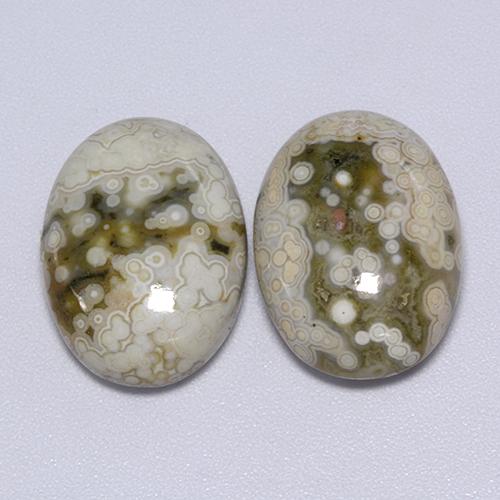 Gemas de jaspe multicolor natural de 21,70 ct, corte óvalo, opaco