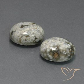 Gemas de Jaspe Multicolor natural de 20.10 ct, Ovalada, Opaco