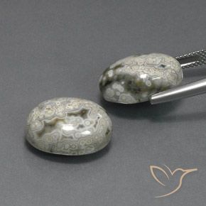 Gemas de Jaspe Multicolor natural de 20.10 ct, Ovalada, Opaco