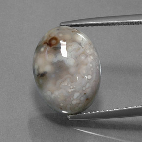 Jaspe Multicolor natural de 9.84 ct, Corte Óvalo, Opaco