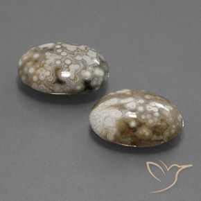 Gemas de Jaspe Multicolor natural de 15.34 ct, Ovalada, Opaco