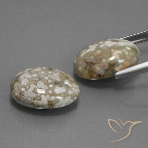 Gemas de Jaspe Multicolor natural de 15.34 ct, Ovalada, Opaco