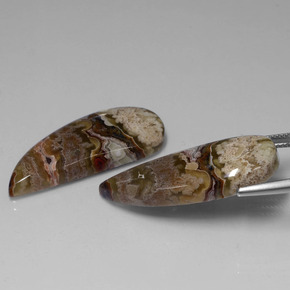 Gemas de jaspe multicolor natural de  ct, forma elegante, opaco