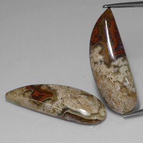 Gemas de jaspe multicolor natural de  ct, forma elegante, opaco