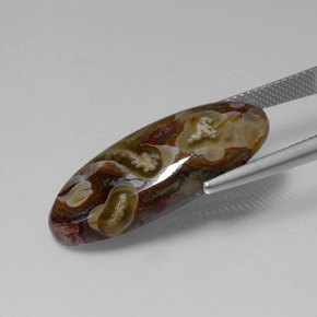 Jaspe Multicolor natural de 13.46 ct, Corte Óvalo, Opaco