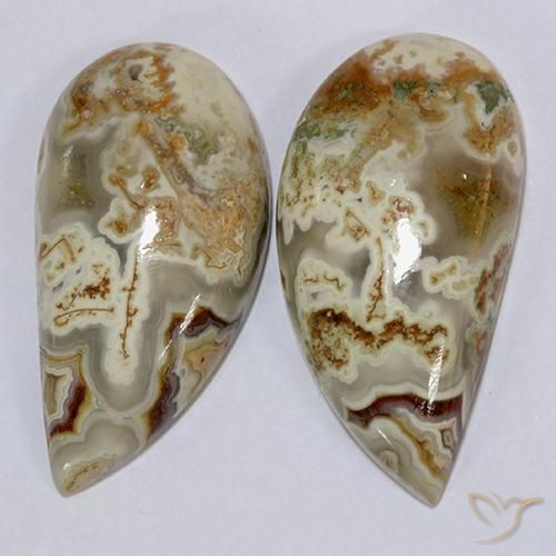 Gemas de Jaspe Multicolor natural de 21.08 ct, Elegante, Opaco