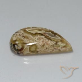Jaspe Multicolor natural de 11.24 ct, Elegante, Opaco