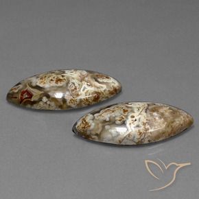 Gemas de Jaspe Multicolor natural de 25.56 ct, Marquesa, Opaco