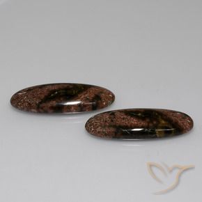 Gemas de Jaspe Multicolor natural de 29.01 ct, Ovalada, Opaco